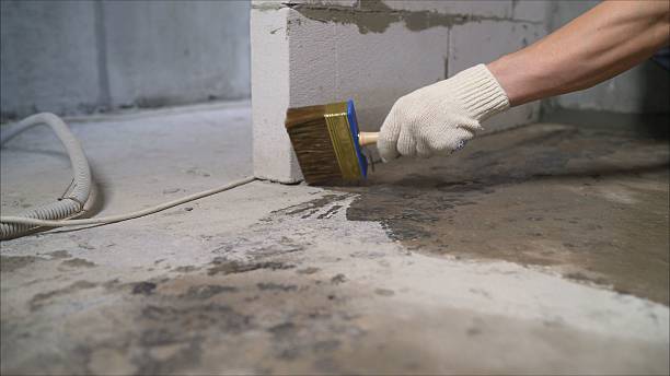 Top rated local Waterproofing specialists in Mount Vernon, GA